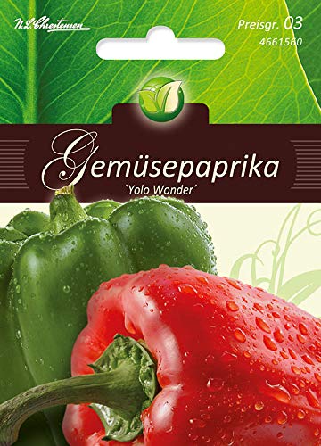 Gemüsepaprika, Yolo Wonder von N.L.Chrestensen