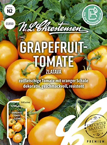 Grapefruit- Tomate Zlatava Samen, Saatgut von N.L.Chrestensen