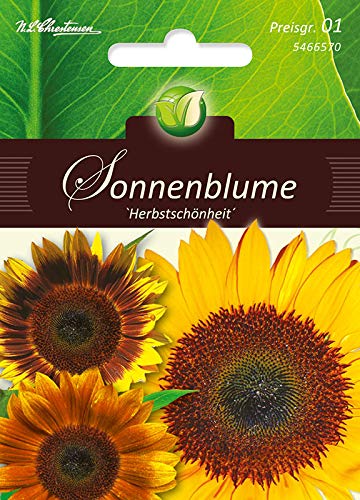 Helianthus, Sonnenblume,Mischung von N.L.Chrestensen