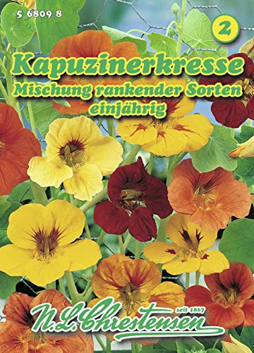 Kapuzinerkresse Mischung rankender Sorten Tropaeolum majus Kresse von N.L. Chrestensen