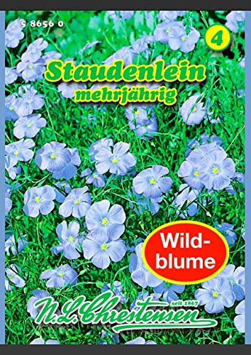 Linum perenne, Staudenlein blau, mehrjährig N.L.Chrestensen Samen 586560-B von N.L. Chrestensen