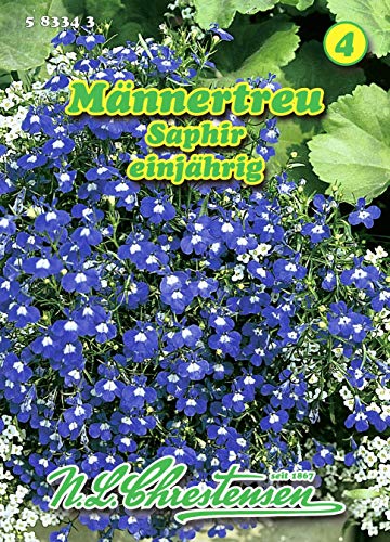 Lobelia erinus pendula, Hängelobelie, Saphir tiefblau N.L.Chrestensen Samen Lobelia erinus pendula, Hängelobelie, Saphir tiefblau N.L.Chrestensen Samen von N.L.Chrestensen