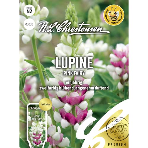 Lupine Pink Fairy, einjährig, bienenfreundlich, Samen von Chrestensen