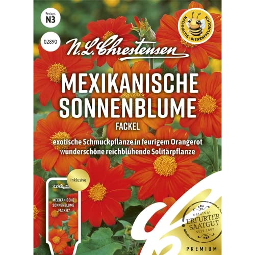 Mexikanische Sonnenblume Fackel Samen, Saatgut von N.L.Chrestensen