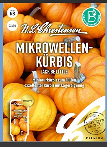 Mikrowellenkürbis Jack Be Little N.L.Chrestensen Samen 1630 von N.L.Chrestensen