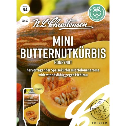 Mini Butternutkürbis Honeynut Samen, Saatgut von N.L.Chrestensen
