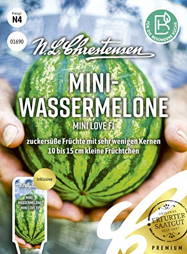 Mini- Wassermelone Mini love F1,zuckersüße Früchte mit sehr wenigen Kernen Samen, apog-01690 von N.L.Chrestensen