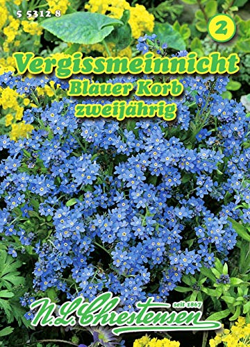 Myosotis sylvatica, Vergißmeinnicht, Blauer Korb blau N.L.Chrestensen Samen von N.L.Chrestensen