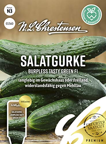 N. L. Chrestensen 01560 Salatgurke Burpless Tasty Green F1 (Salatgurkensamen) von N.L.Chrestensen