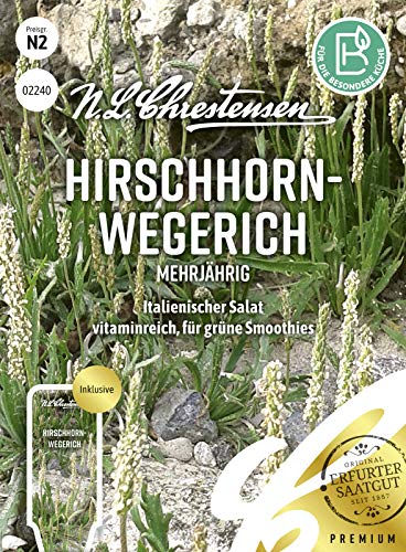 N. L. Chrestensen 02240 Hirschhornwegerich Mehrjährig (Hirschhornwegerichsamen) von N.L.Chrestensen