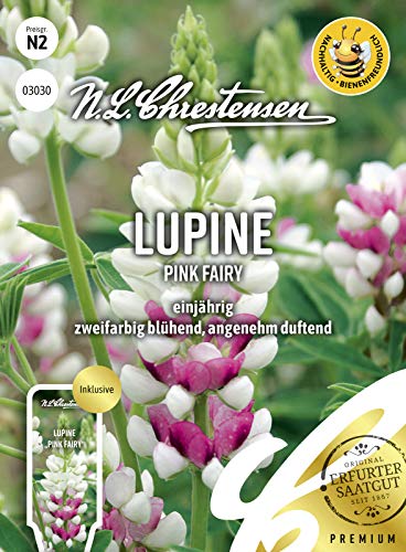 N. L. Chrestensen 03030 Lupine Pink Fairy (Lupinensamen) von N.L.Chrestensen