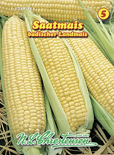 N.L. Chrestensen 11748113 Saatmais Badischer Landmais (Saatmaissamen) von N.L.Chrestensen