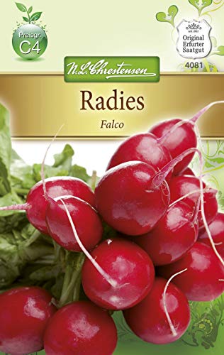 N.L. Chrestensen 4081 Radies Falco (Radieschensamen) von N.L.Chrestensen