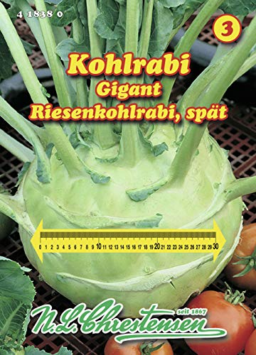 N.L. Chrestensen 418380 Riesenkohlrabi Gigant (Riesenkohlrabisamen) von N.L.Chrestensen