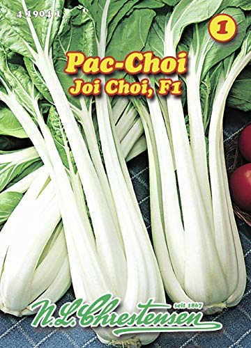 N.L. Chrestensen 419041 Pac Choi Joi Choi F1 (Pac Choi Samen) von N.L.Chrestensen
