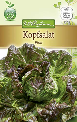 N.L. Chrestensen 4202 Kopfsalat Pirat (Kopfsalatsamen) von N.L.Chrestensen