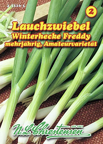 N.L. Chrestensen 433265 Lauchzwiebel Winterhecke (Lauchzwiebelsamen) von N.L.Chrestensen