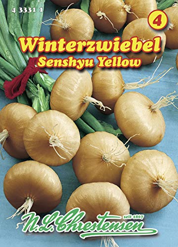 N.L. Chrestensen 433311 Zwiebel Senshyu Yellow Winterzwiebeln (Zwiebelsamen) von N.L.Chrestensen