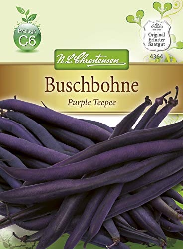 N.L. Chrestensen 4364 Buschbohne Purple Teepee Glucktyp (Buschbohnensamen) von N.L.Chrestensen