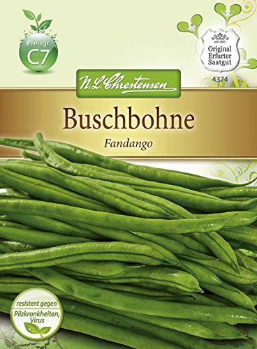 N.L. Chrestensen 4374 Buschbohne Fandango (Buschbohnensamen) von Chrestensen