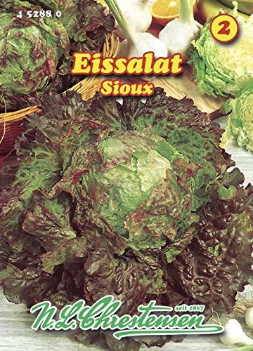 N.L. Chrestensen 452880 Eissalat Sioux (Eissalatsamen) von N.L.Chrestensen