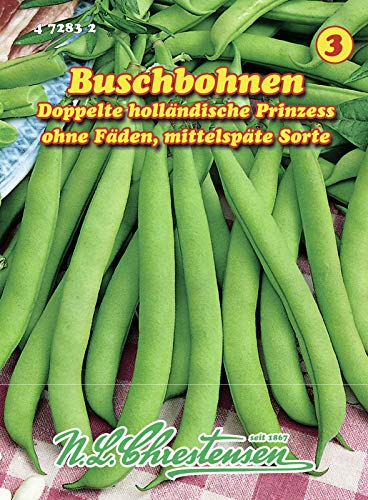 N.L. Chrestensen 472832 Buschbohne Doppelte holländische Prinzess (Buschbohnensamen) von N.L.Chrestensen