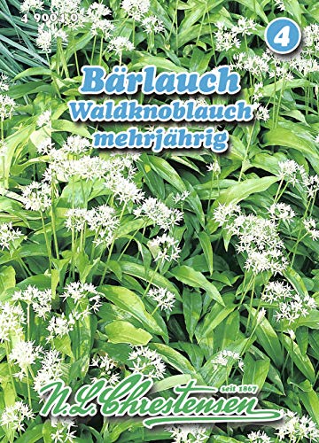 N.L. Chrestensen 490040 Bärlauch Waldknoblauch (Bärlauchsamen) von N.L.Chrestensen