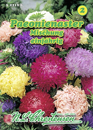N.L. Chrestensen 522196 Paeonienaster Mischung (Paeonienasternsamen) von N.L.Chrestensen
