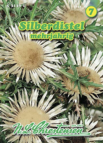 N.L. Chrestensen 531391 Silberdistel (Silberdistelsamen) von Chrestensen
