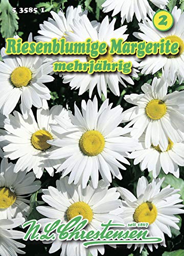 N.L. Chrestensen 535851 Margerite Riesenblumig (Margeritensamen) von N.L. Chrestensen