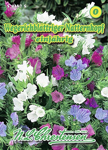 N.L. Chrestensen 543675 Natternkopf Wegerichblättriger (Natternkopfsamen) von N.L.Chrestensen