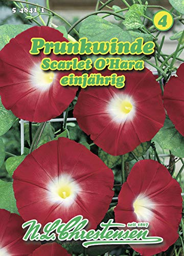 N.L. Chrestensen 548411 Prunkwinde Scarlet O' Hara (Prunkwindensamen) von Chrestensen