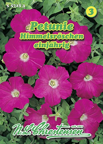 N.L. Chrestensen 557233 Petunie Himmelsröschen (Petuniensamen) von N.L.Chrestensen