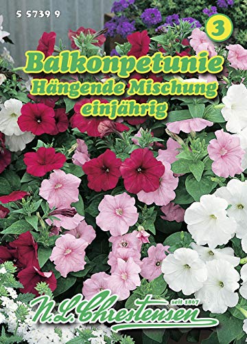 N.L. Chrestensen 557399 Balkonpetunie Mischung (Balkonpetuniensamen) von N.L.Chrestensen