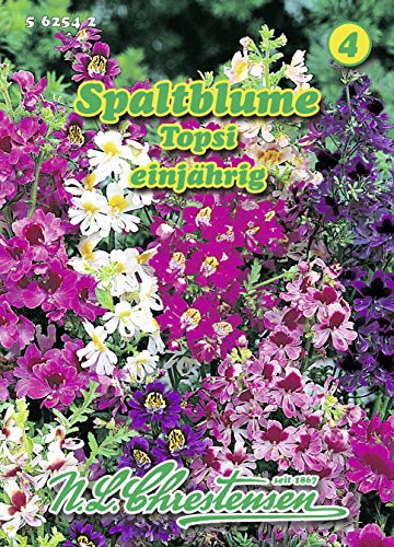 N.L. Chrestensen 562542 Spaltblume Topsi (Spaltblumensamen) von N.L.Chrestensen