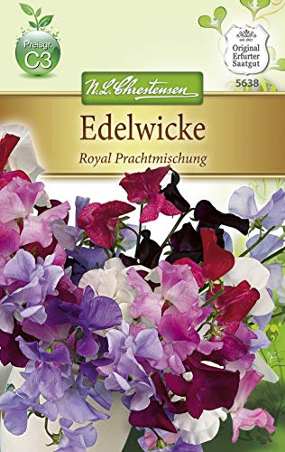 N.L. Chrestensen 5638 Edelwicke Royal Prachtmischung (Edelwickensamen) von Chrestensen