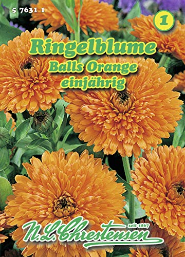 N.L. Chrestensen 576311 Ringelblume Balls Orange (Ringelblumensamen) von N.L. Chrestensen