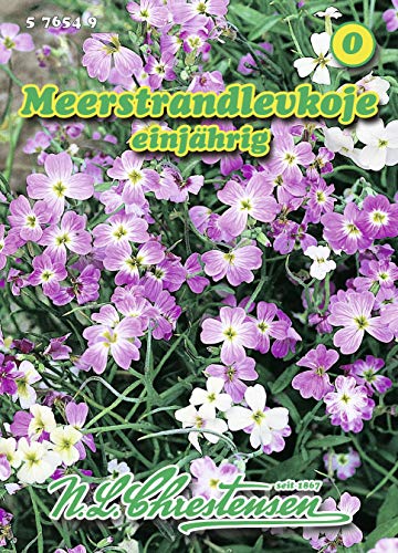 N.L. Chrestensen 576549 Meerstrandlevkoje (Meerstrandlevkojensamen) von Chrestensen