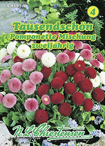 N.L. Chrestensen 581874 Tausendschön Pomponette Mischung (Tausendschönsamen) von N.L.Chrestensen