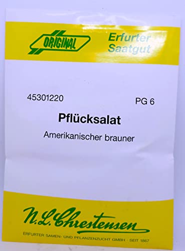 N.L. Chrestensen Pflücksalat Amerikanischer brauner 30g Volumenpackung (Pflücksalatsamen)… Salat von N.L.Chrestensen