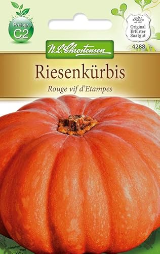 N.L.Chrestensen 4288, Kürbis Rouge vif d'Etampes, Orange von Chrestensen