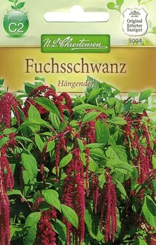 N.L.Chrestensen 5004, Amaranthus Fuchsschwanz, hängend, rot, Grün von N.L.Chrestensen