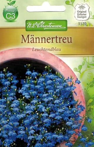 N.L.Chrestensen 5170, Lobelia erinus Männertreu, Leuchtendblau, Blau von N.L.Chrestensen