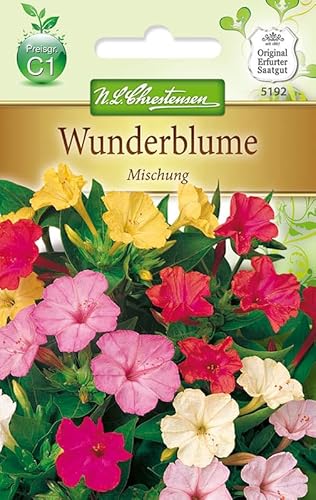 N.L.Chrestensen 5192, Mirabilis jalapa Mischung, Mehrfarbig von Chrestensen