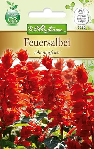 N.L.Chrestensen 5230, Salvia splendens Feuersalbei, Johannisfeuer, Rot von N.L.Chrestensen