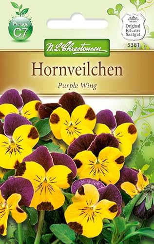 N.L.Chrestensen 5381, Viola cornuta, Hornveilchen Purple Wing, Gelb von N.L.Chrestensen