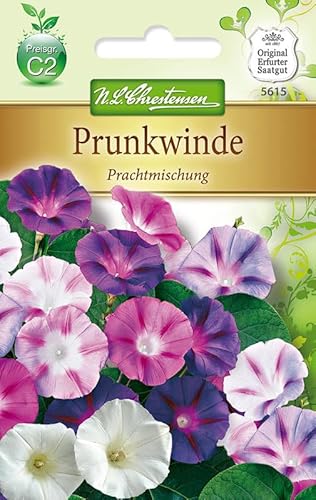 N.L.Chrestensen 5615, Ipomoea purpurea Prunkwinde, Prachtmischung, Mehrfarbig N.L.Chrestensen 5615, Ipomoea purpurea Prunkwinde, Prachtmischung, Mehrfarbig von N.L.Chrestensen