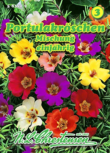 Portulaca grandiﬂora, Portulakröschen, Mischung N.L.Chrestensen Samen von N.L.Chrestensen