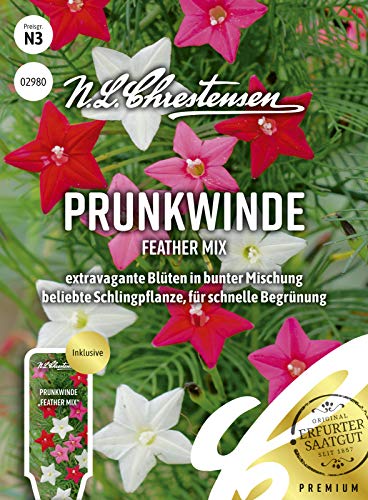 Prunkwinde Feather Mix Samen, Saatgut von N.L.Chrestensen