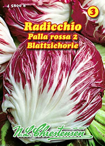 Radicchio, Palla Rossa 2 N.L.Chrestensen Samen 458008-B von N.L.Chrestensen